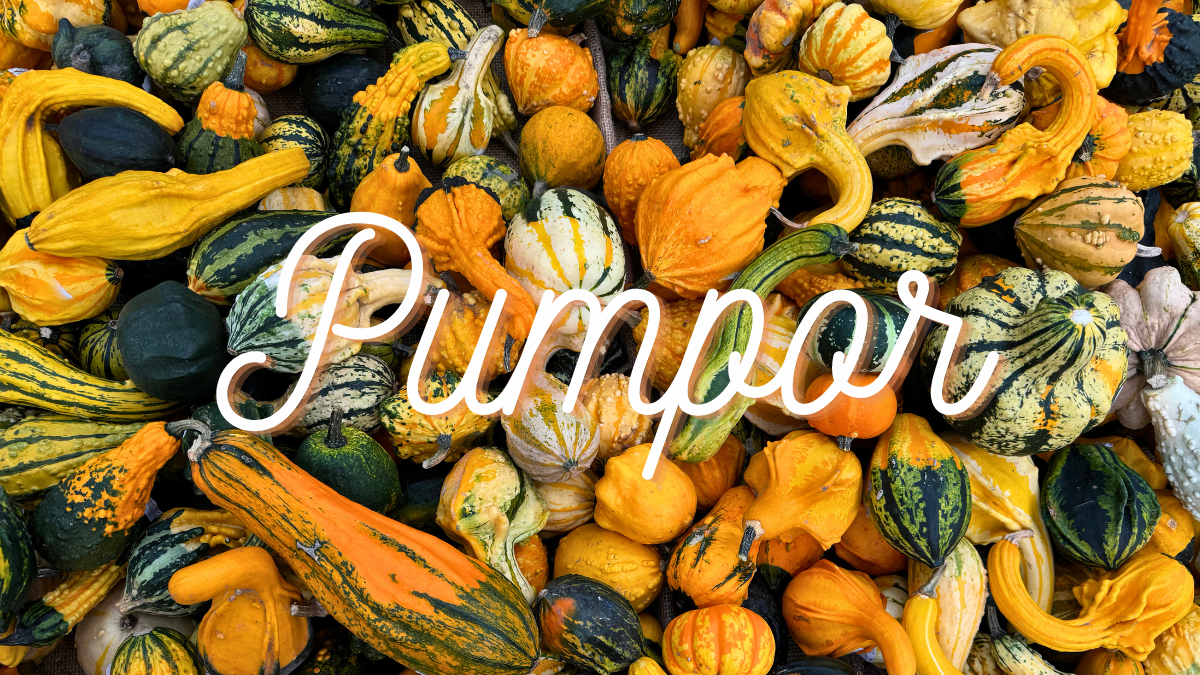 pumpor