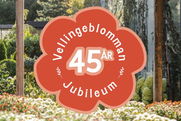 45år_web_banner-41